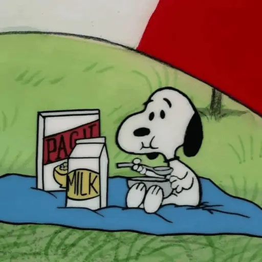 Stickers Snoopy sin contexto🐶