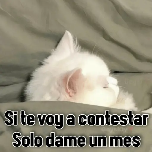 💫 conTrabajo estudio 🤣❣️