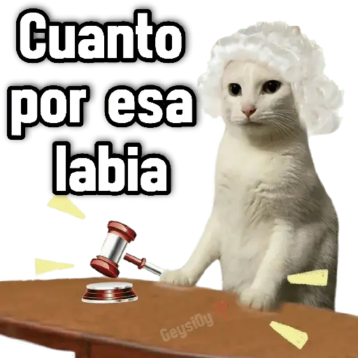 💫 conTrabajo estudio 🤣❣️