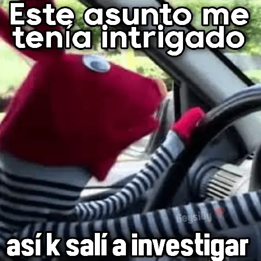 💫 conTrabajo estudio 🤣❣️