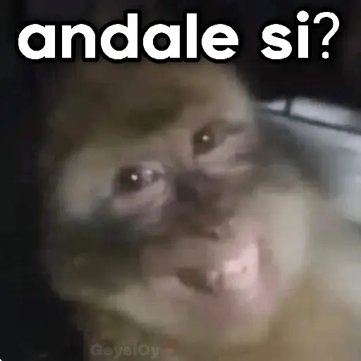 💫 conTrabajo estudio 🤣❣️