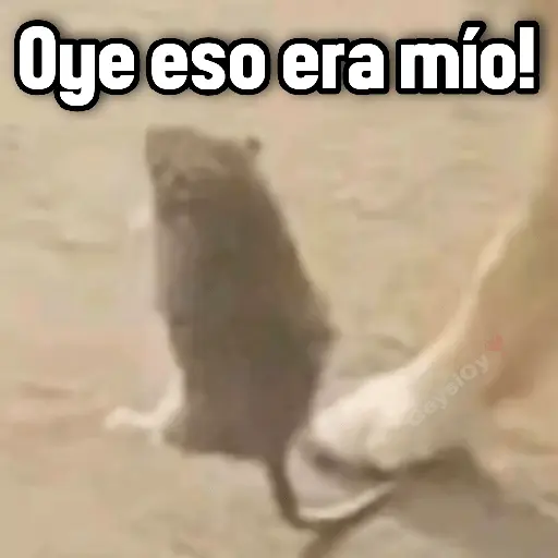 💫 conTrabajo estudio 🤣❣️