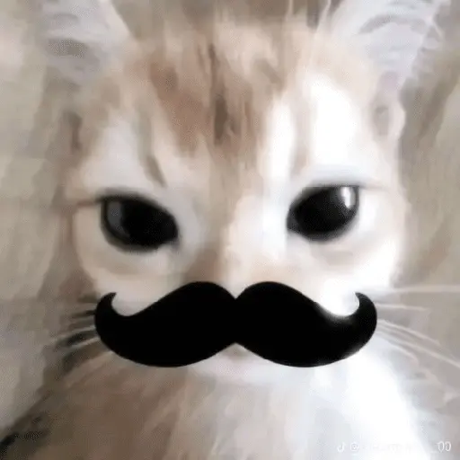 🐾 Gatitos Anti-Depresivos #➌