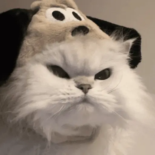 🐾 Gatitos Anti-Depresivos #➌