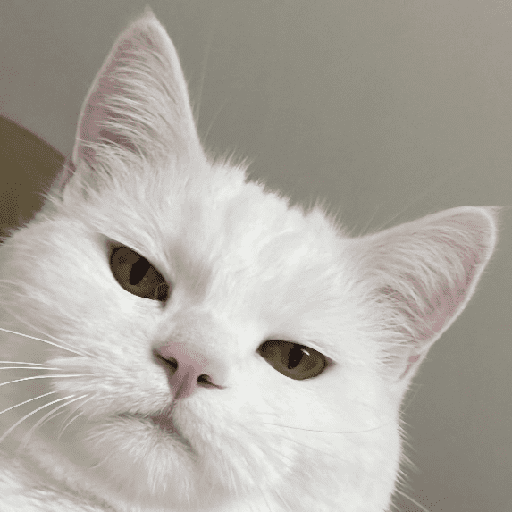 🐾 Gatitos Anti-Depresivos #➌ preview