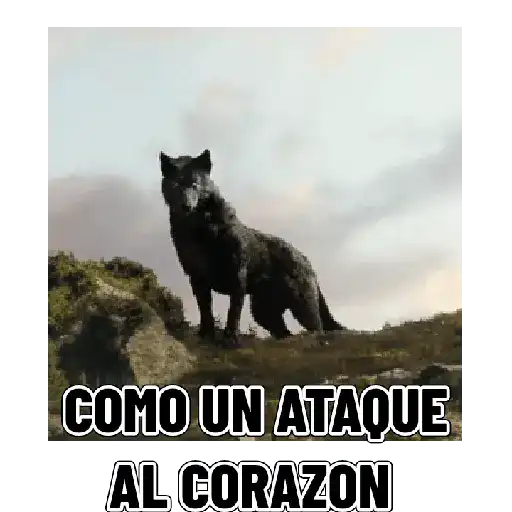 En modo de defensa estoy 🛡️
