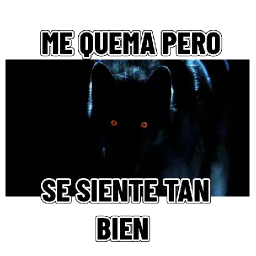 En modo de defensa estoy 🛡️