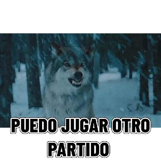 En modo de defensa estoy 🛡️