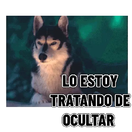En modo de defensa estoy 🛡️