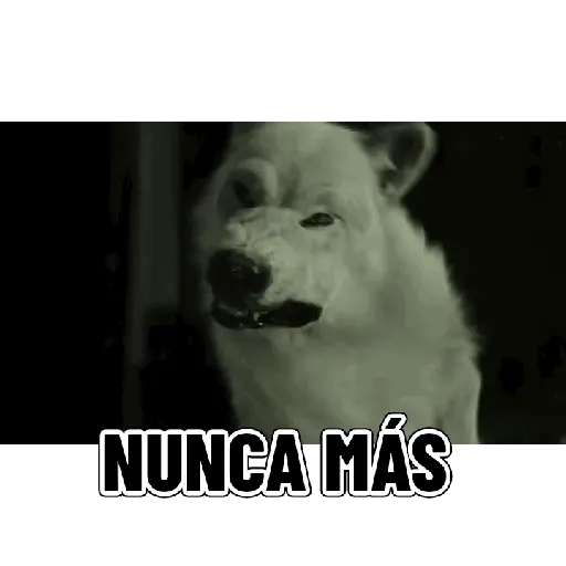 En modo de defensa estoy 🛡️
