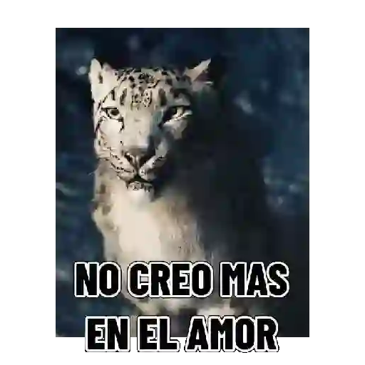 En modo de defensa estoy 🛡️