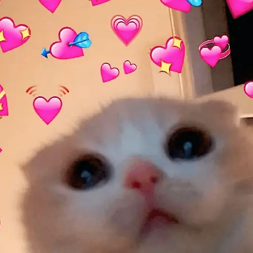 💞💖 AMOR 5 💖💞