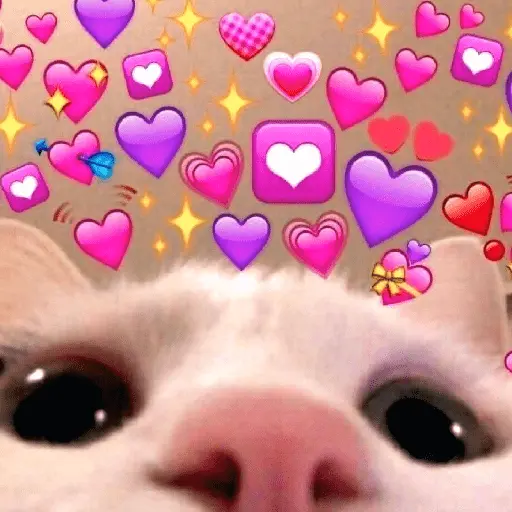 💞💖 AMOR 5 💖💞