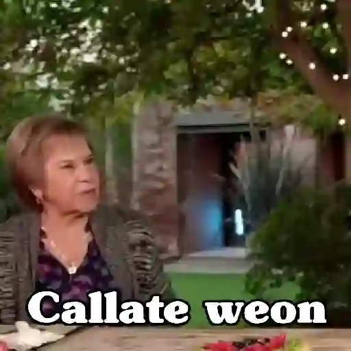 🧿Memes Clásicos Chilenos🇨🇱 preview