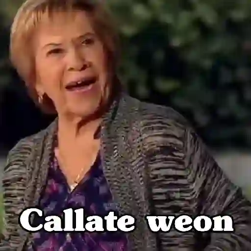 🧿Memes Clásicos Chilenos🇨🇱