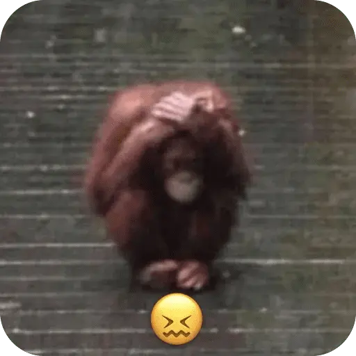 🐒 Reacciones de monitos🐒