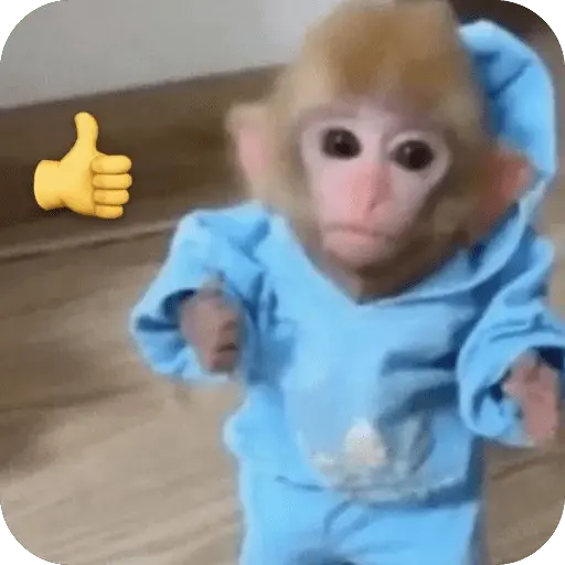 🐒 Reacciones de monitos🐒