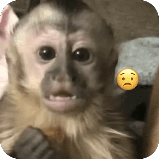 🐒 Reacciones de monitos🐒 preview