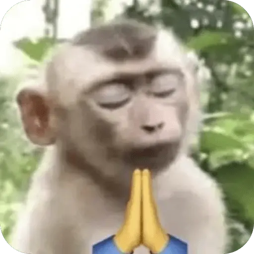 🐒 Reacciones de monitos🐒