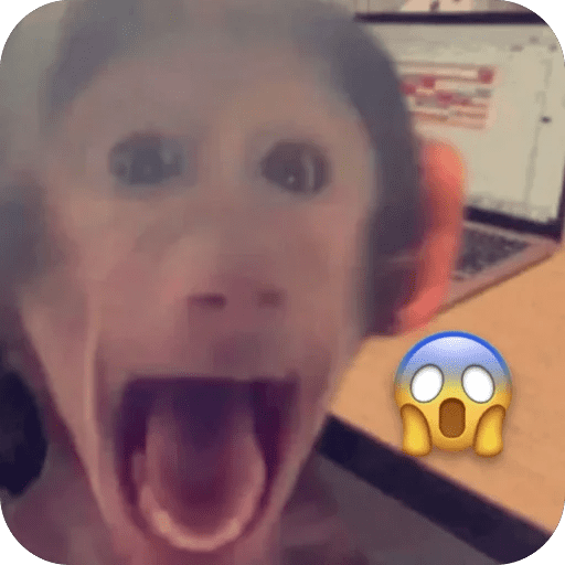 🐒 Reacciones de monitos🐒 preview
