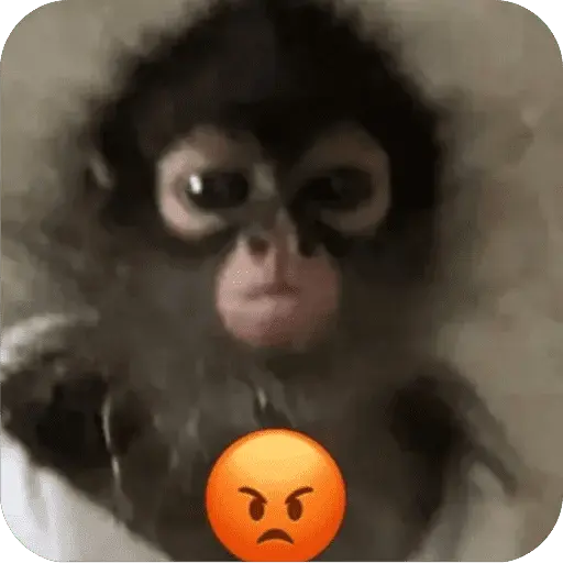 🐒 Reacciones de monitos🐒