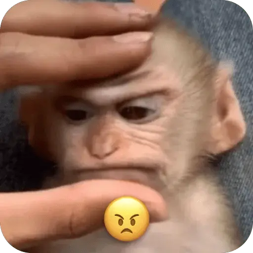 🐒 Reacciones de monitos🐒