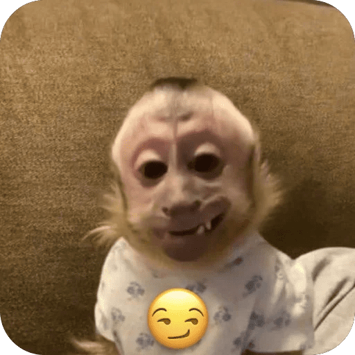 🐒 Reacciones de monitos🐒 preview