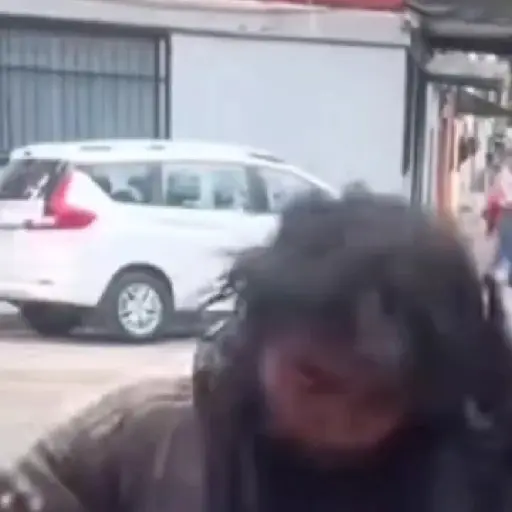 La diva indigente 💅🏻Tiktok 🔥