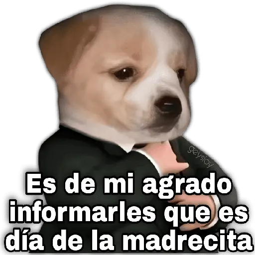 Día de la madre 2 🌺🪄👑