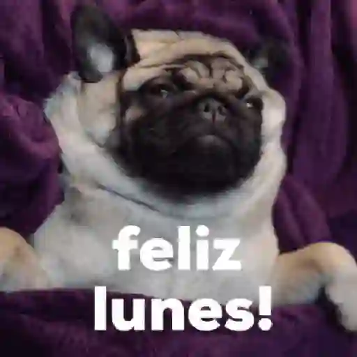 😮‍💨Trabajo {LUNES}😪 preview