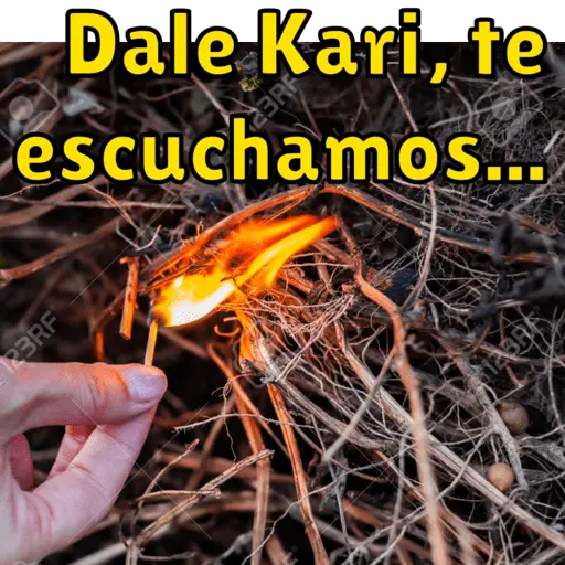 trabajo
