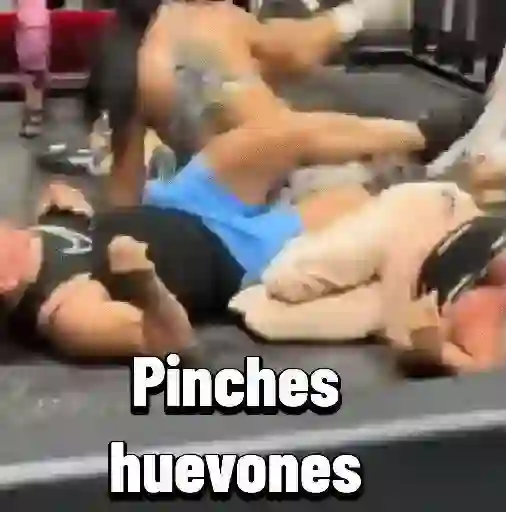virales tik tok 