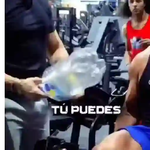 virales tik tok 