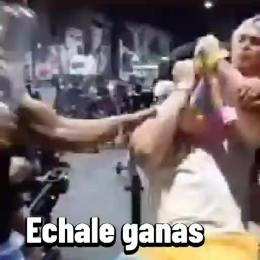 virales tik tok 