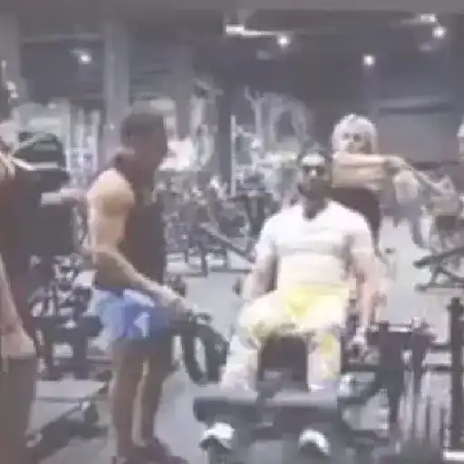 virales tik tok 