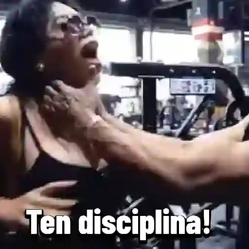 virales tik tok 