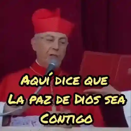 Papa Leon XIV 😎