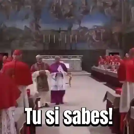 Papa león XIV