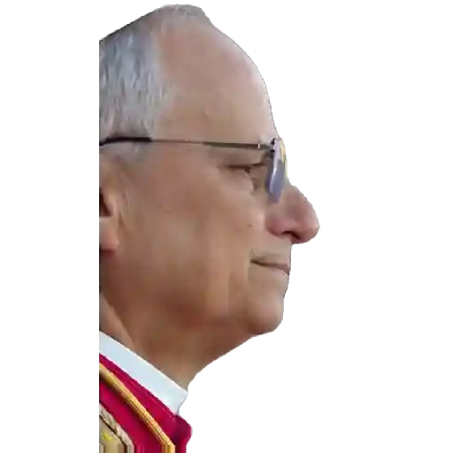 Papa león XIV preview
