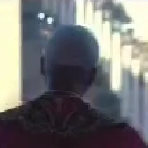 Papa león XIV