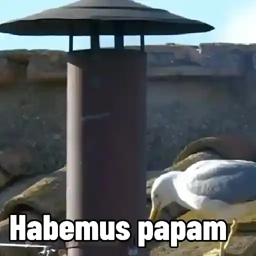 Papa león XIV