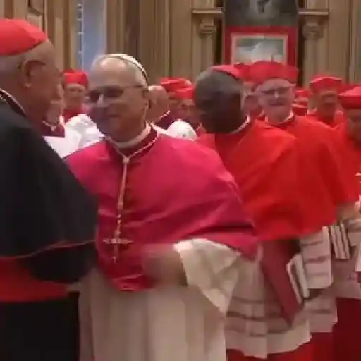 Papa león XIV