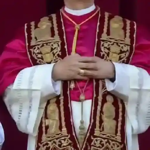 Papa león XIV