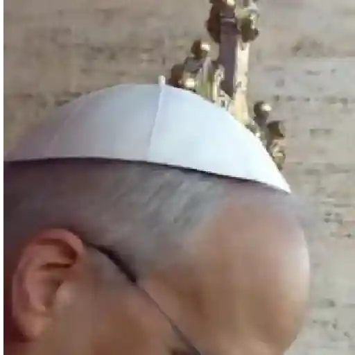 Papa león XIV