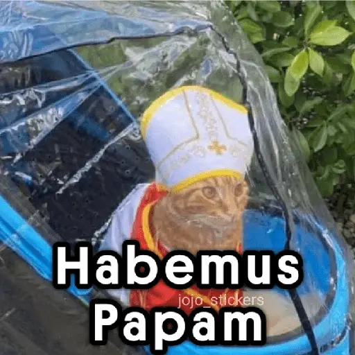Papa León XIV ⛪Habemus Papam