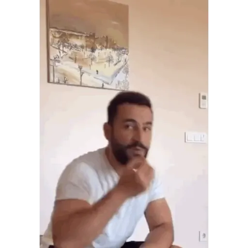 mixed turkish memes