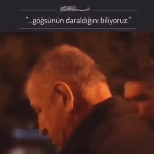 mixed turkish memes
