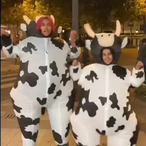 vaca bailando 😎