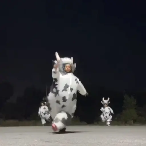 vaca bailando 😎
