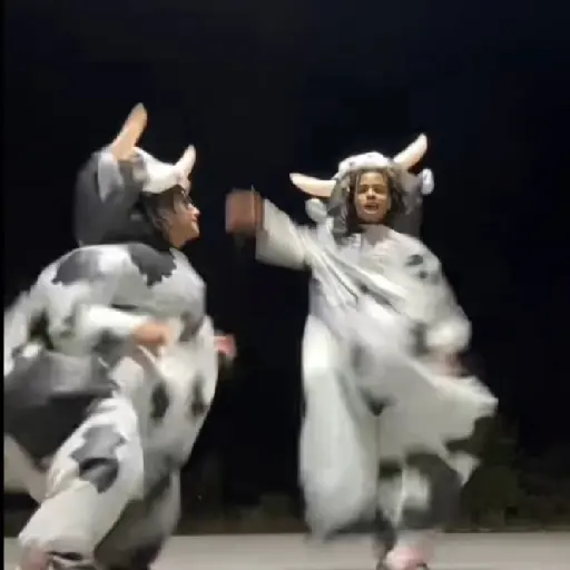 vaca bailando 😎 preview